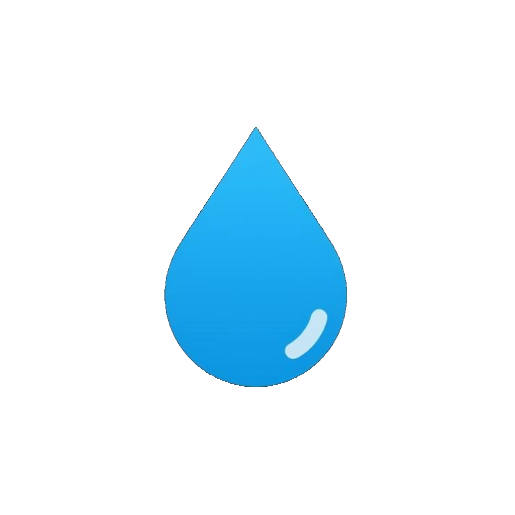 DetailPro logo